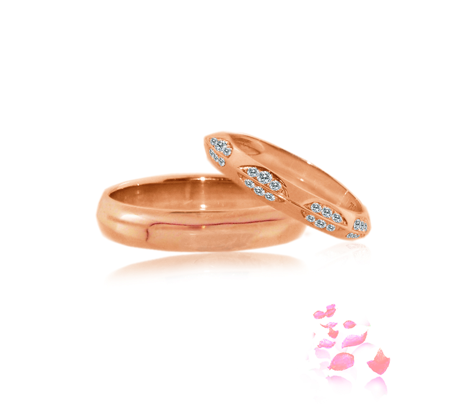 WB0141A-R41 and WB0141B-R33G30D