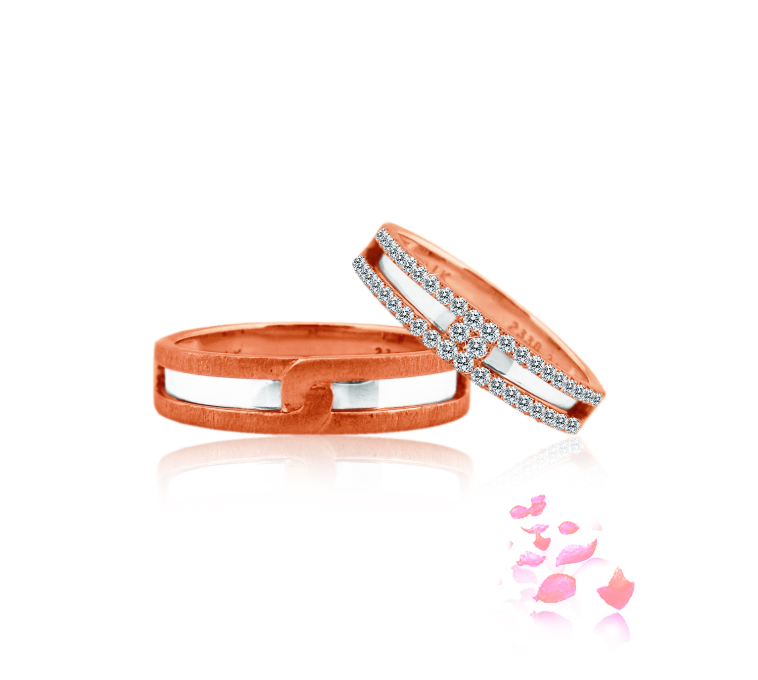 WB0210A-RW and WB0210B-RW