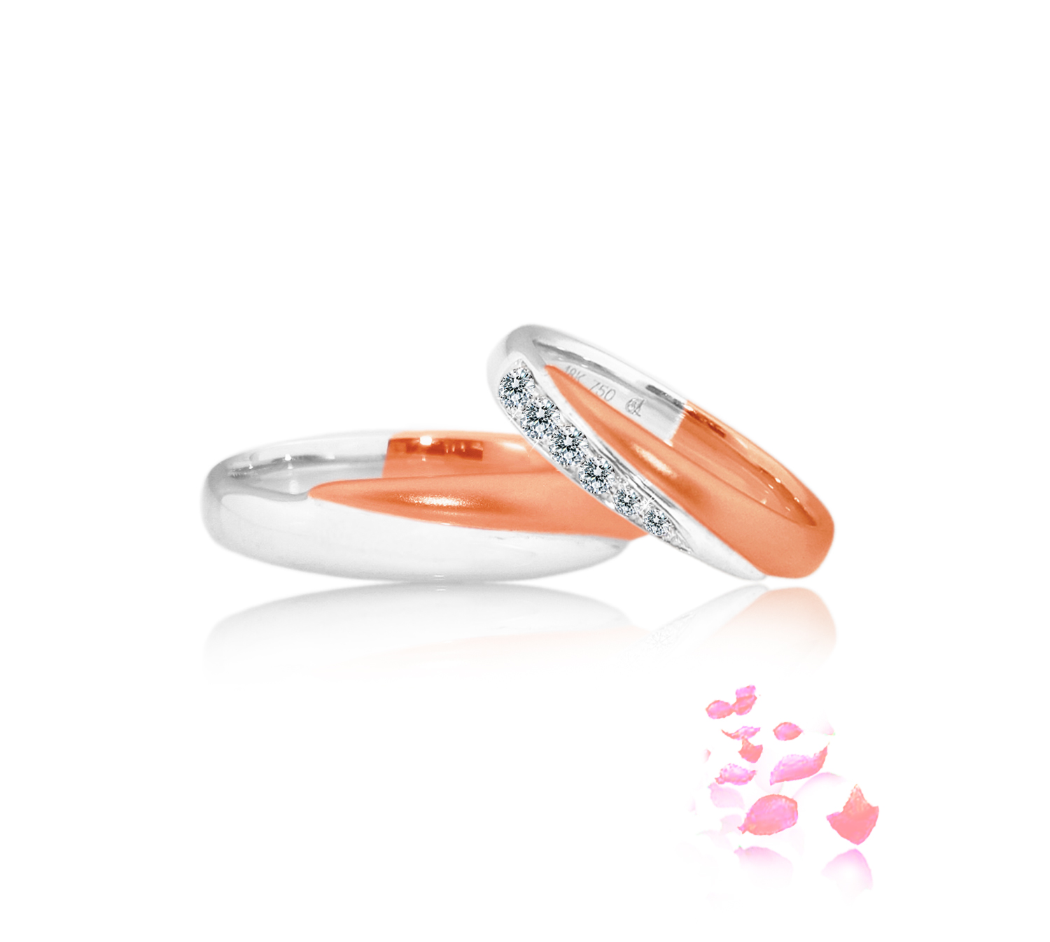 WB0221A-WR and WB0221B-WR