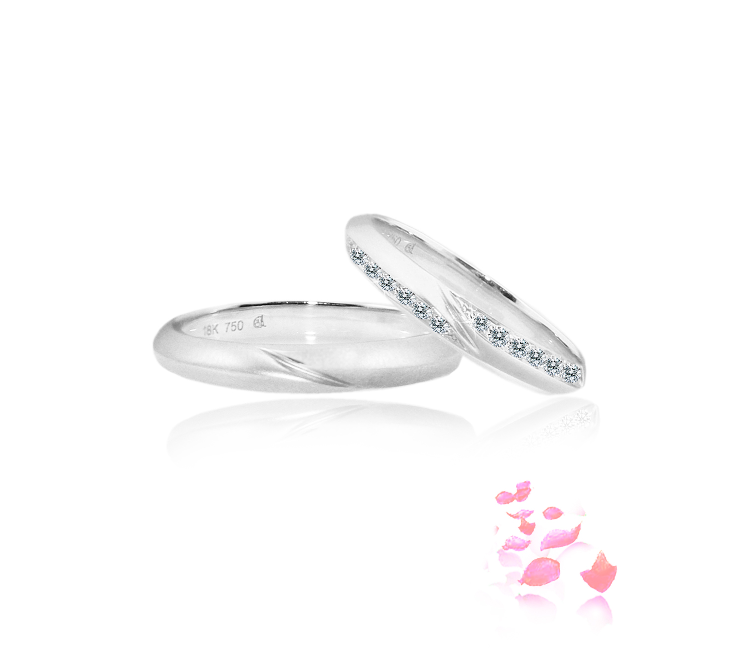 WB0224A-W and WB0224B-W