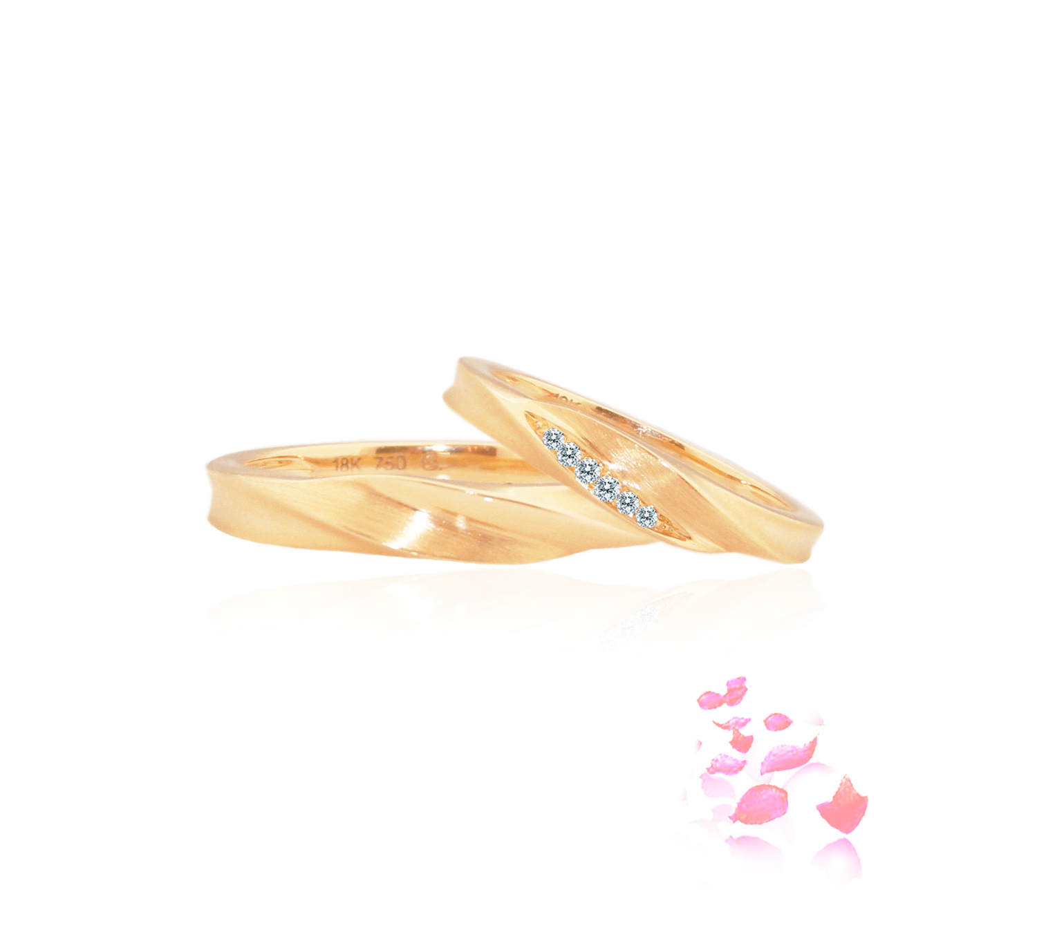 WB0227A-Y and WB0227B-Y