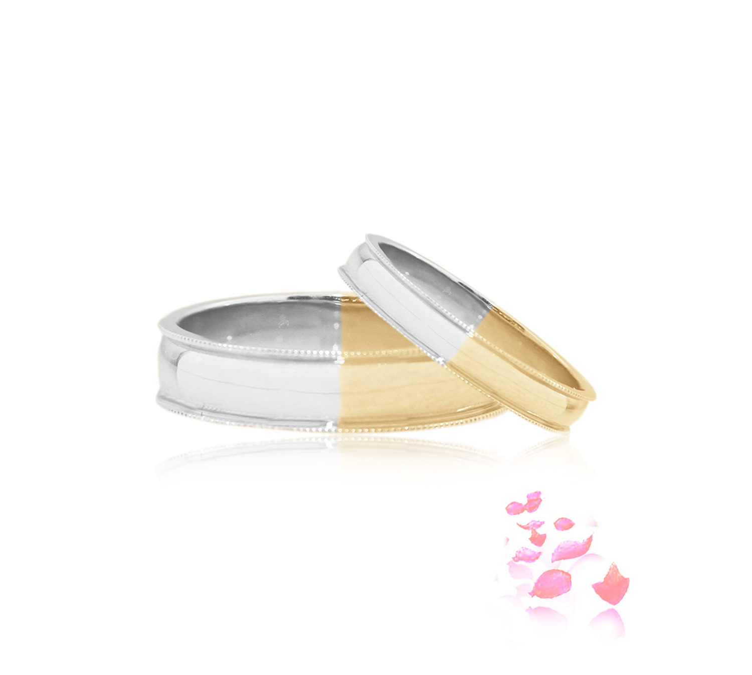 WB0238A-WC and WB0238B-WC