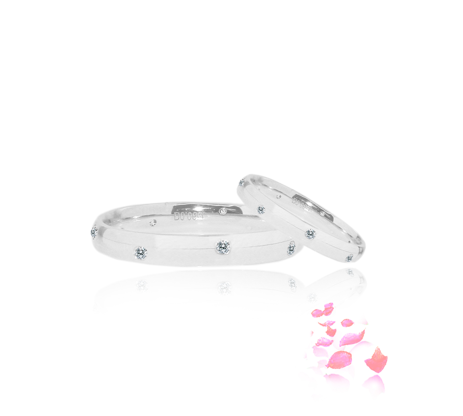 WB0244A-W and WB0244B-W